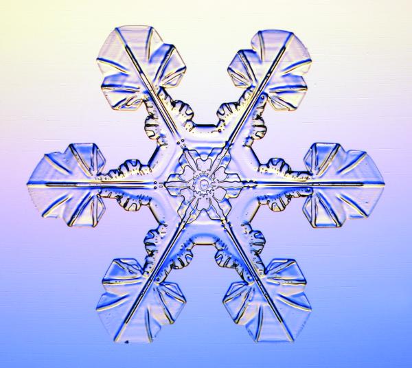 1199936774_1140085383410 1199936774_1140085383410