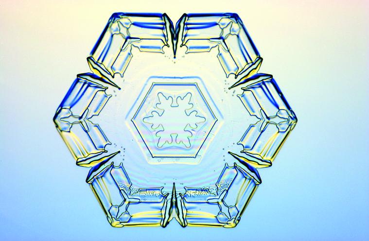 1199936774_1140085456791