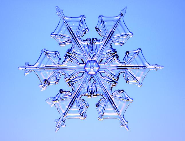 1199936774_1140085507391