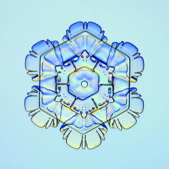 1199936774_1140085739004