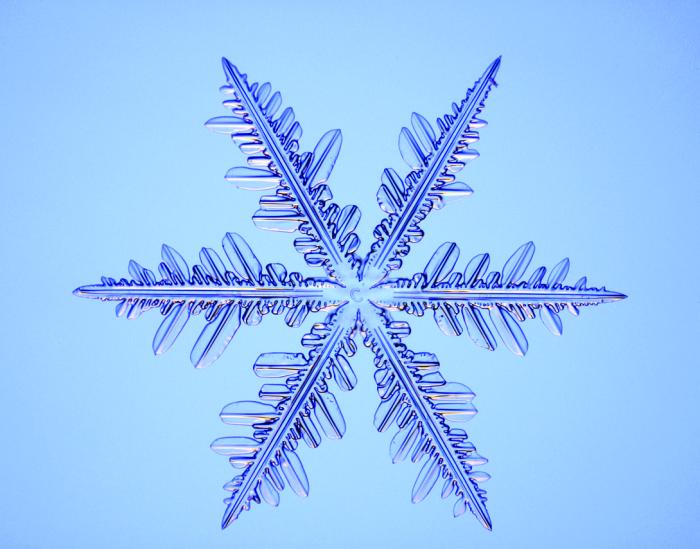 1199936774_1140085811523