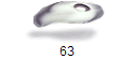 63