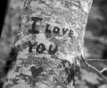 IloveyouBaum