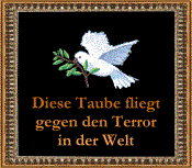 TerrorTaube TerrorTaube