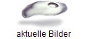 aktuelle Bilder