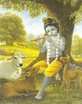 krishna krishna